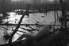Wasteland
