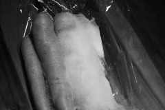 Carrots
