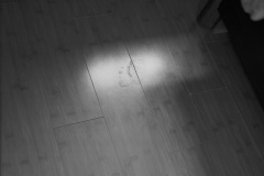Footprint