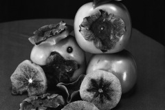 Persimmons