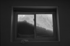 SnowWindow