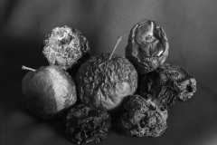 apples
