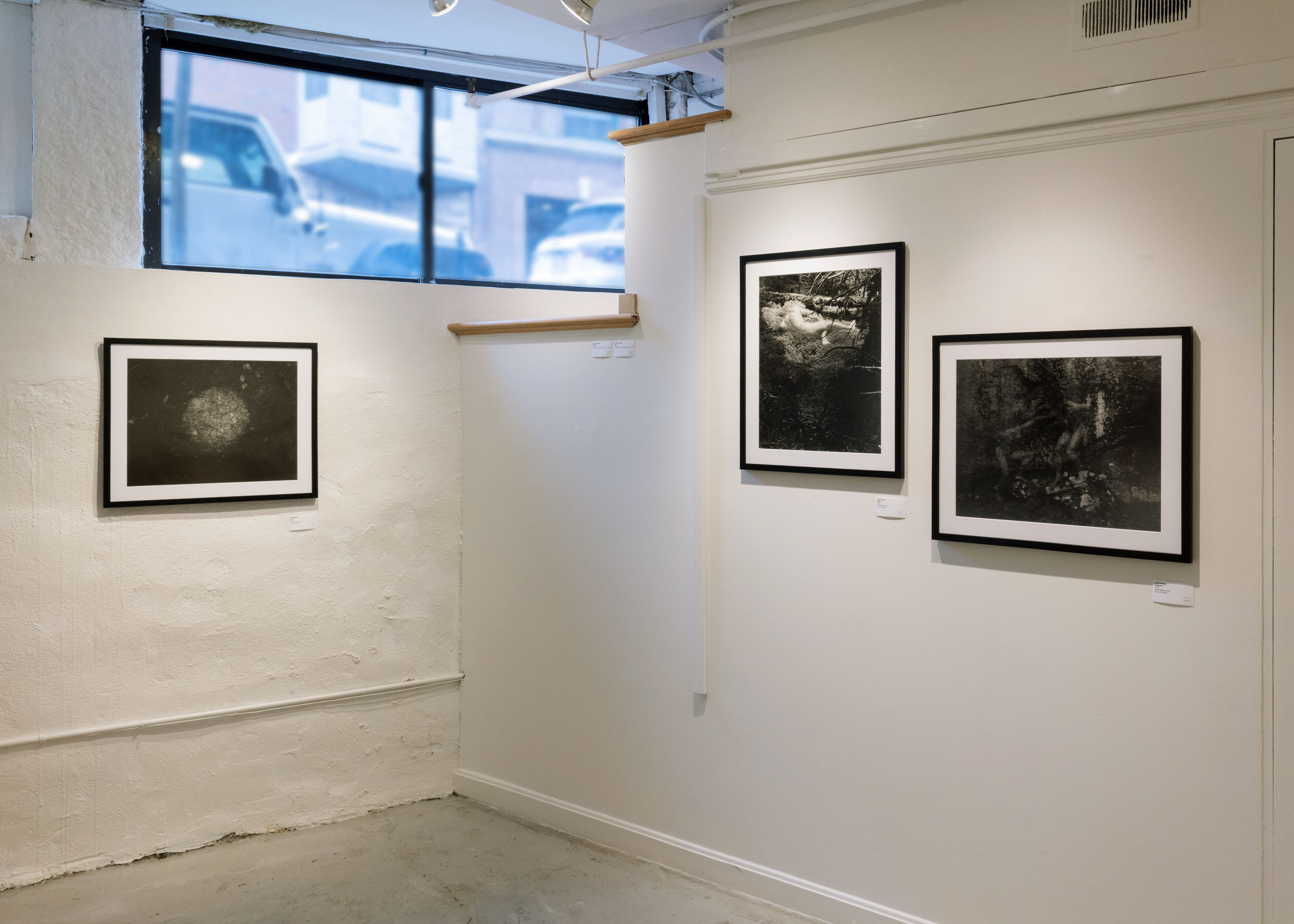 Installation shots for 'Reciprocal Ecology' at ShowUp Gallery in spring 2026.