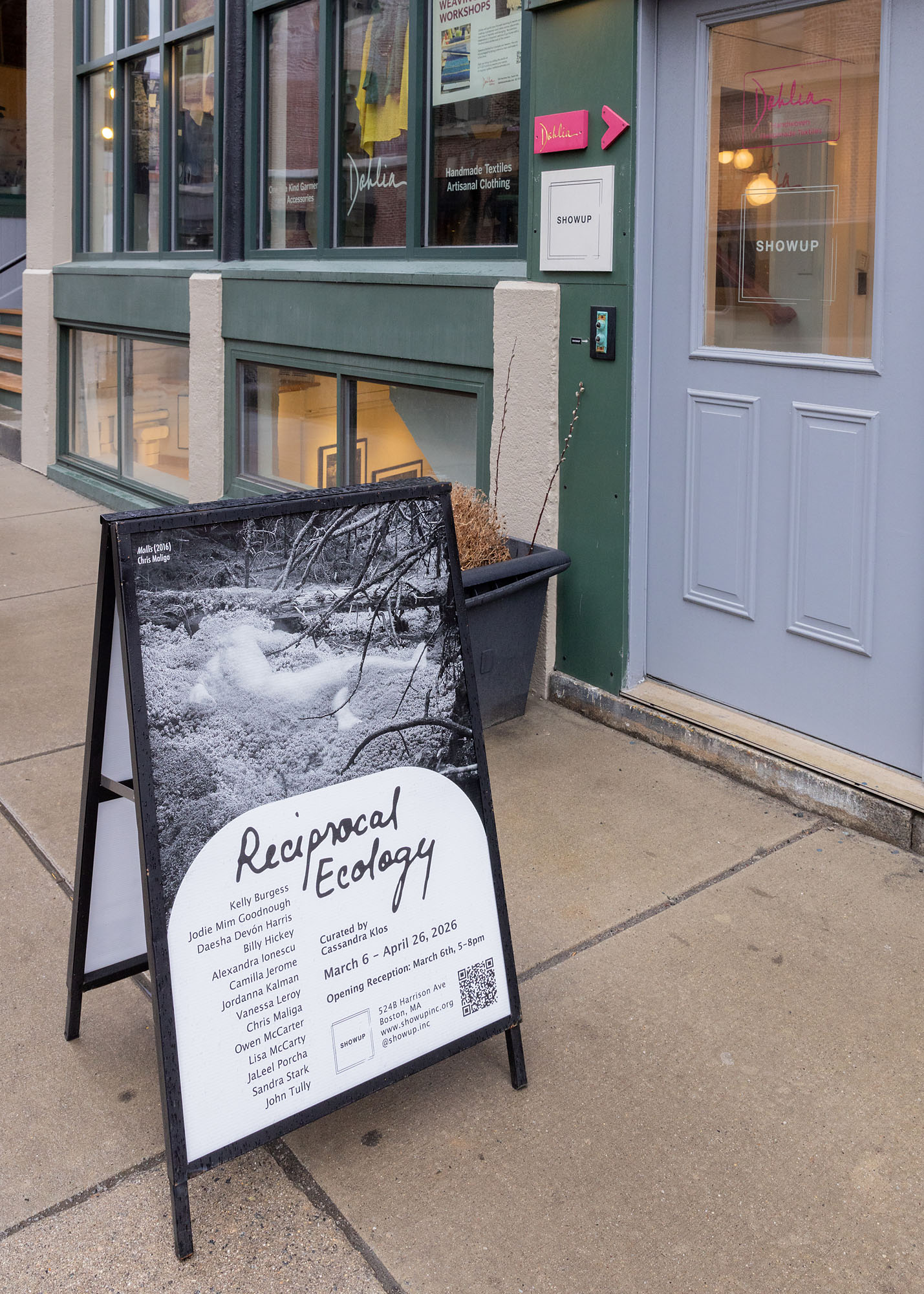 Installation shots for 'Reciprocal Ecology' at ShowUp Gallery in spring 2026.