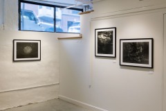 Installation shots for 'Reciprocal Ecology' at ShowUp Gallery in spring 2026.